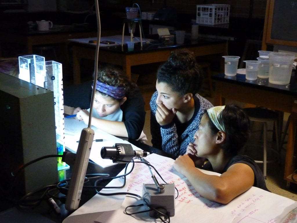 Three students examining xrays of sea life