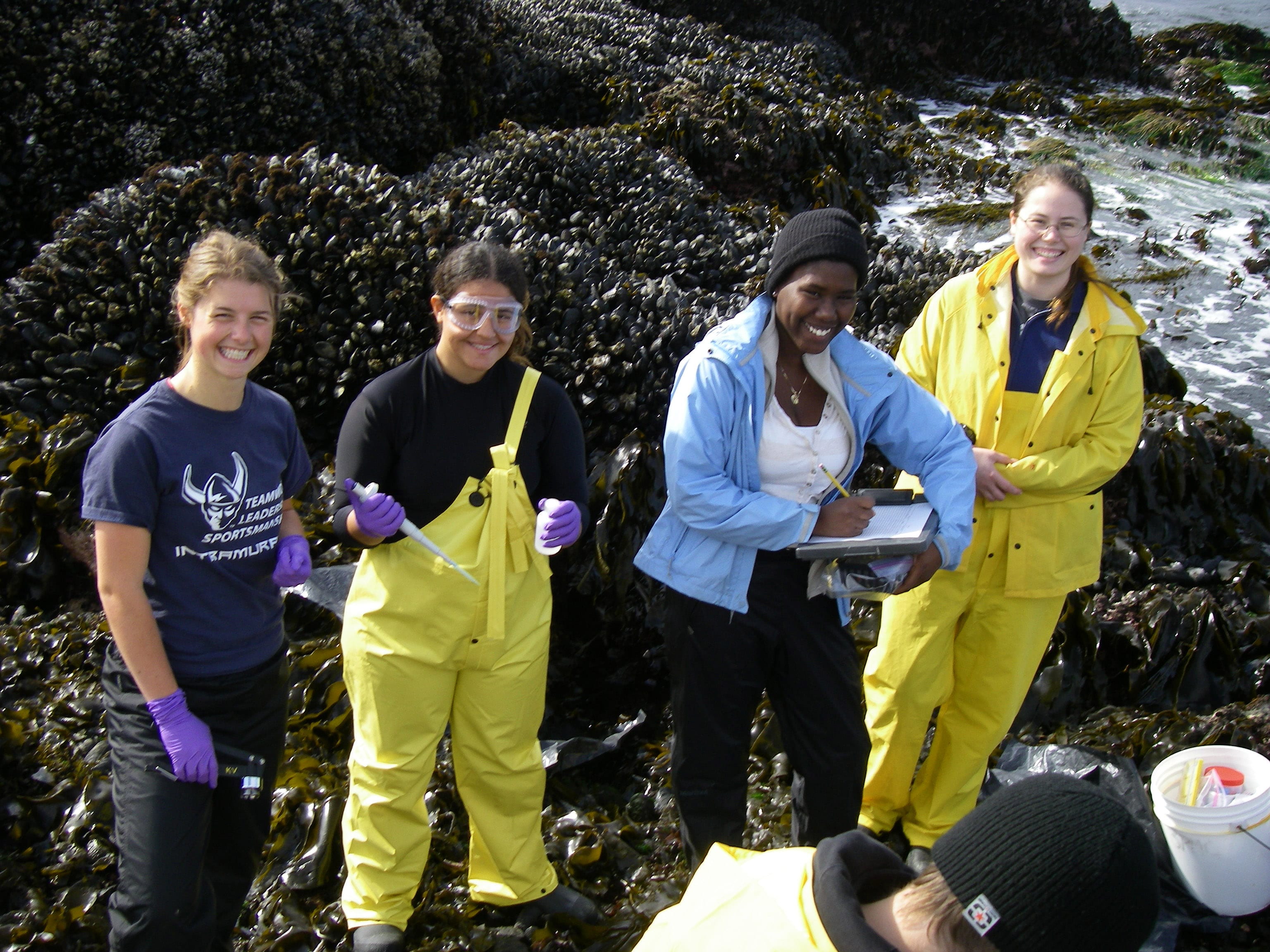 Students in ocean gear collect samples on a beach