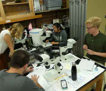 Four students work at a lab table with microscopes, big sheets of paper, and buckets on top.